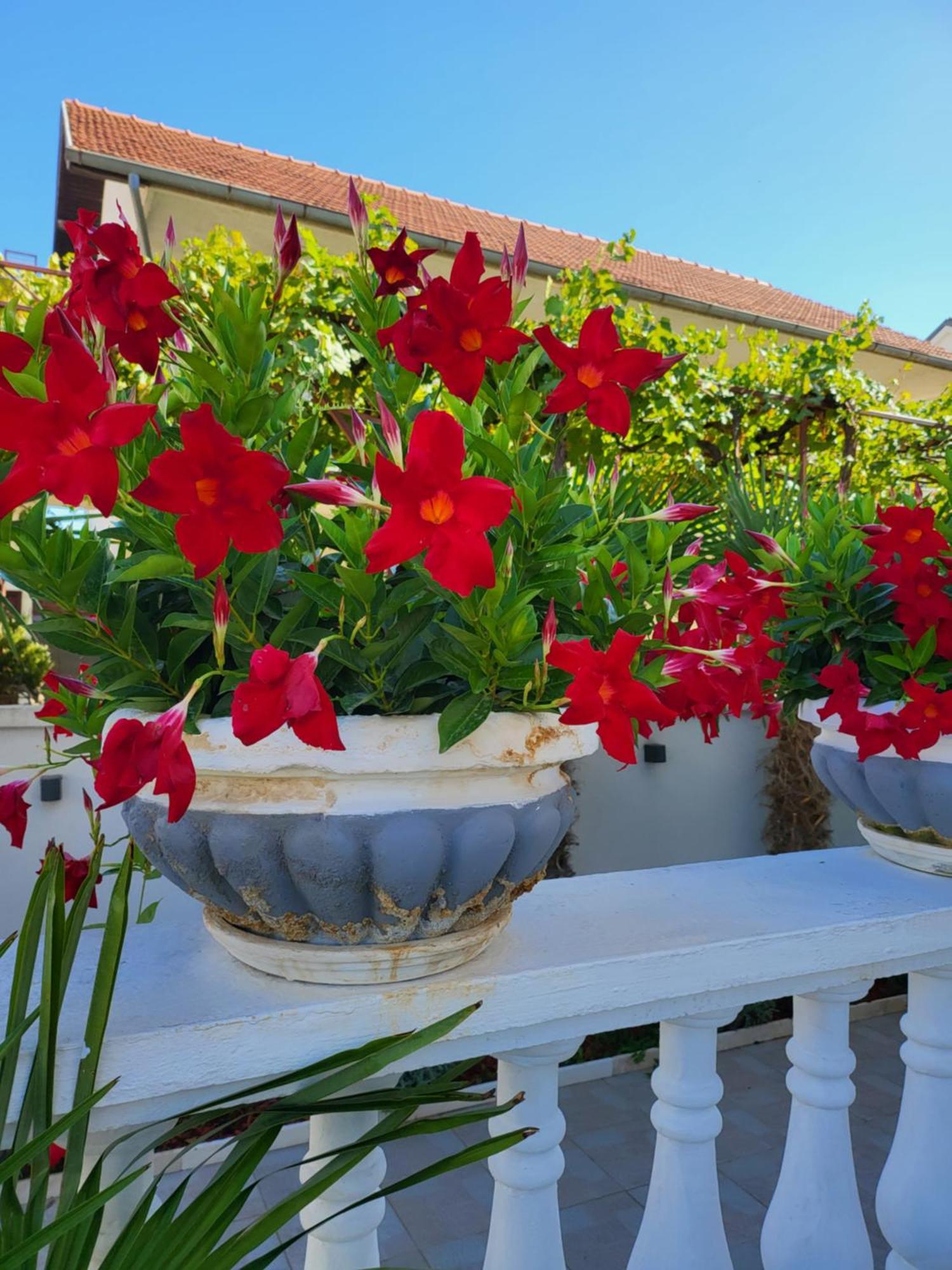 Apartments Rino Vodice Kültér fotó